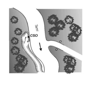 0009#_###_122# - S.S. 79 TERNANA - KM 34,850