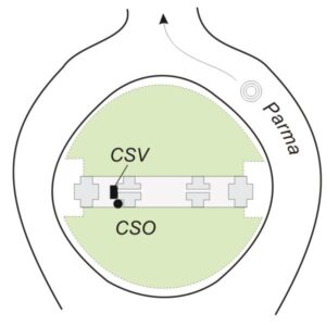 0017#_###_091# - PARMA