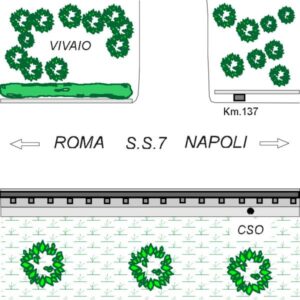 0024#_###_058# - S.S. 7 APPIA KM. 137,000