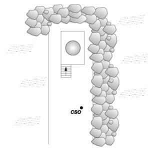 0024#_D02_001# - FORMIA