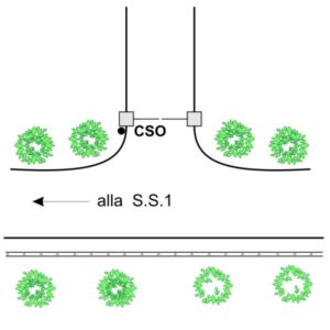 0026#_###_162P - STRADA DI COLLECCHIO