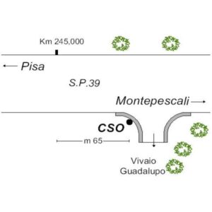 0028#_###_049# - S.P.39 KM 244,935 - VIVAIO GUADALUPO