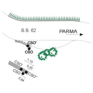 0033#_###_056P - SS 62  DELLA CISA