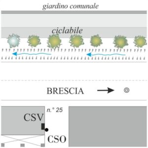 0052#_###_005# - MANDOLOSSA