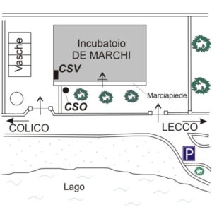 0053#_###_020# - FIUMELATTE - INCUBATOIO DE MARCHI