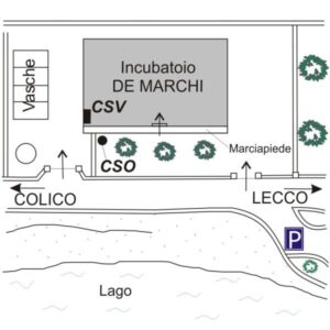 0053#_###_020P - FIUMELATTE - INCUBATOIO DE MARCHI