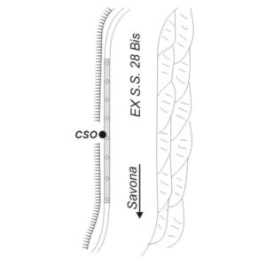 0066#_###_033# - EX S.S.N° 28 BIS