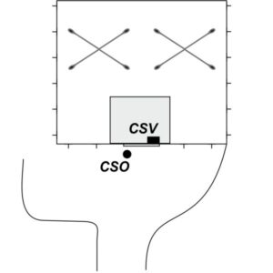 0068#_###_040# - SENORBI