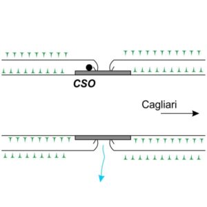 0068#_###_076# - NURALLAO