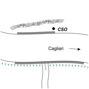 0068#_###_121# - FIGU NIEDDU