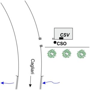 0068#_###_138# - SA CODINA