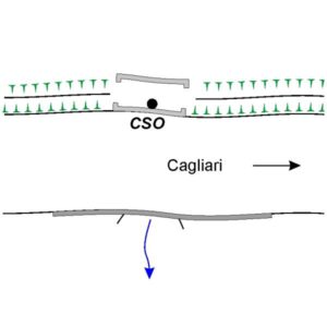 0068#_###_176# - CRASTU PISANU