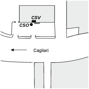 0068#_###_183# - ONIFERI