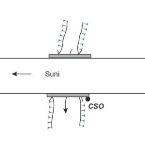 0069#_###_034# - RIO ORDARI