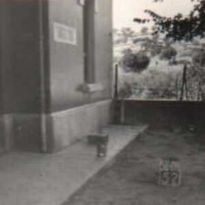 0069#_###_052# - CASA CANTONIERA DEL TIRSO KM 71