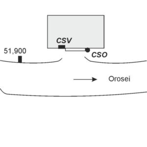 0070#_###_005# - DONNICORI