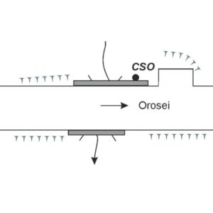 0070#_###_027# - IUTRAMONTES