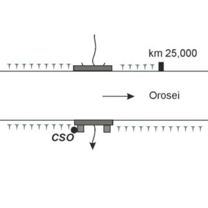 0070#_###_032# - ARBORE NURAGHE