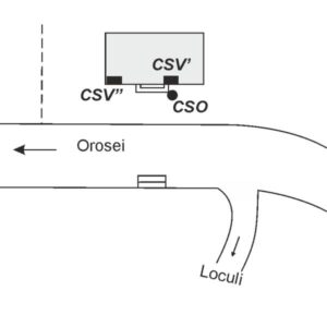 0070#_###_043# - CASA CANTONIERA CEDRINA KM.13.723