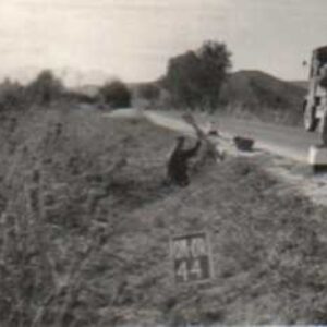 0070#_###_044# - SETTLE