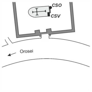 0070#_###_053# - OROSEI