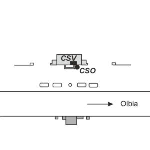 0071#_###_018# - BERCHIDA