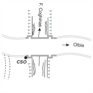 0072#_###_064# - COGHINAS
