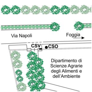 0079#_###_072# - FOGGIA