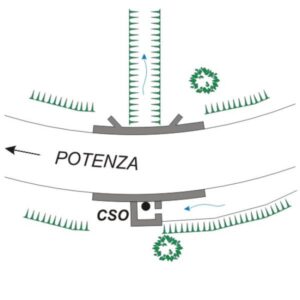 0081#_###_010# - S.S. 7 - KM 456+950 - MONTOCCHIO