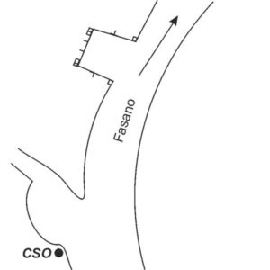 0087#_###_043# - ORFANOTROFIO DEL SACRO CUORE - Viale di accesso-