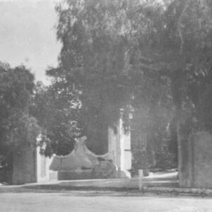 0090#_###_152P - MASSERIA CONTE RIALBO PALMIERI - Cancello