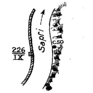 0097#_###_170# - MARIZZO - Parete rocciosa al Km 226,898 della S.S.