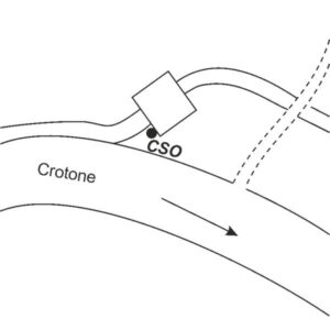 0098#_###_057# - KM 241,120 (piattaforma in cemento)