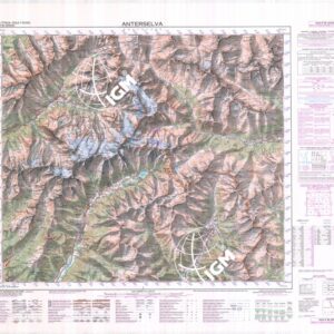 009 (ANTERSELVA) Anno: 1985