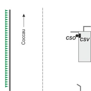 00AA#_###_052# - S.S. 13 KM 221,200