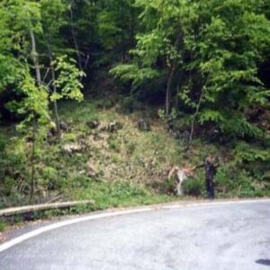 00EF#_D01_006# - MASSO AFFIORANTE