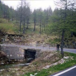 00EF#_D01_014# - PONTICELLO