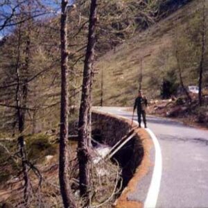 00EF#_D01_019# - TOMBINO