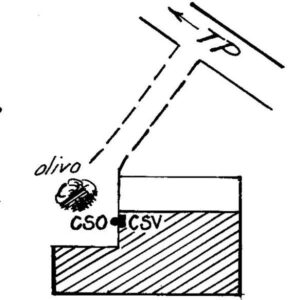 0102#_###_122# - CASA BORRUSO fuori strada al km. 33.785 della SS.