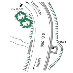 0104#_###_031# - CONTRADA FRISINO - SS 290 KM 19,345