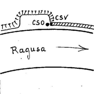 0107#_###_098# - CONTRADA TATAPPI - Muro di sostegno - km. 284.040