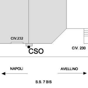 0113#_###_021# - COMIZIANO