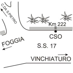 0129#_###_001# - S. S. 17   KM  222