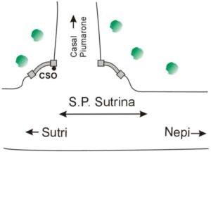 0149#_###_055# - S.P. SUTRINA - AZIENDA CASAL PIUMARONE