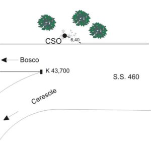 0155#_###_036# - S.S. 460 KM 43,650 - BIVIO PER BOSCO