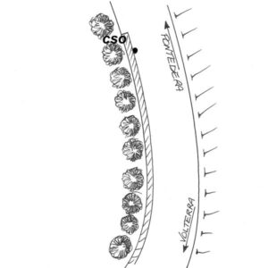 0163#_###_030# - SR 439