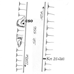 0167#_###_082# - SP 556