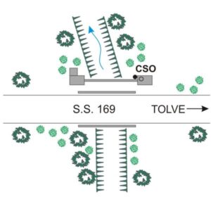 0168#_###_074# - S.S.169 KM 31,300