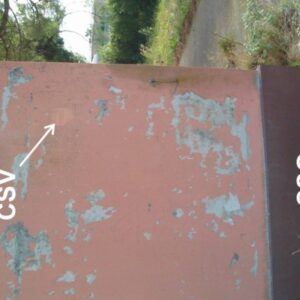 0169#_###_007# - S.S. 309 ROMEA KM. 43,100