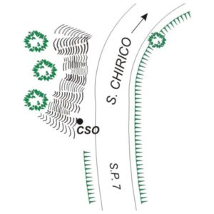 0202#_###_040# - S.P. 7 - KM 41+400